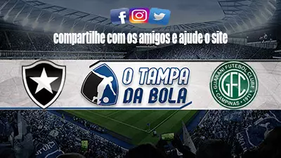 Onde Assistir Botafogo x Guarani Ao vivo HD Online 28/11/2021