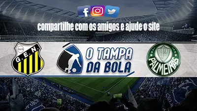 Novorizontino x Palmeiras ao vivo