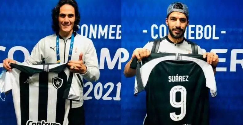 Botafogo está começando a aparecer forte no mercado