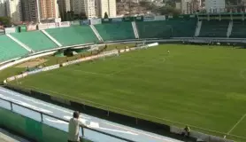 Guarani e Novorizontino faz hoje jogo válido pela 31ª rodada da Série B do Brasileiro : veja escalações e arbitragem