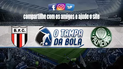 Onde Assistir Botafogo-SP x Palmeiras ao vivo pela Copa do Brasil