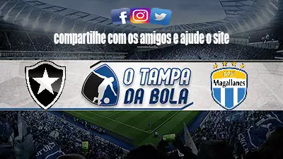 Onde Assistir Botafogo x Magallanes Ao vivo pela Sul-Americana