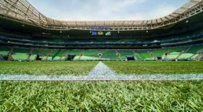 Palmeiras e Bahia faz hoje jogo válido pela 30ª rodada do Brasileirão: veja escalações e arbitragem.