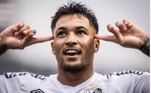 Palmeiras busca recuperação no Brasileirão após eliminação na Libertadores. Entenda!