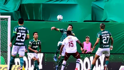 Palmeiras vence o Fluminense e fica mais perto do título do brasileirão. veja!