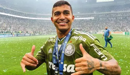 Palmeiras recebe o Vasco pela 8ª Rodada do Brasileirão. Entenda!