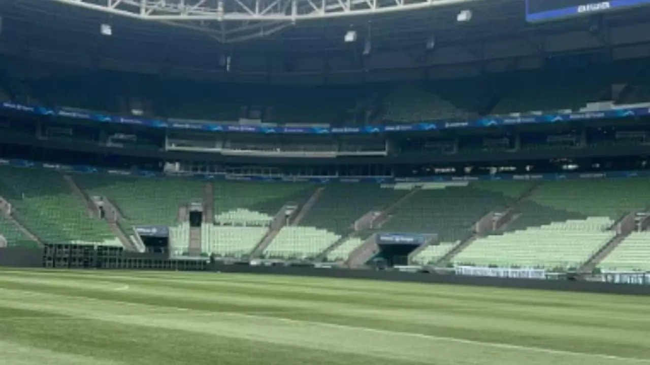 Palmeiras e Fluminense duelam por objetivos opostos na última rodada. Entenda!