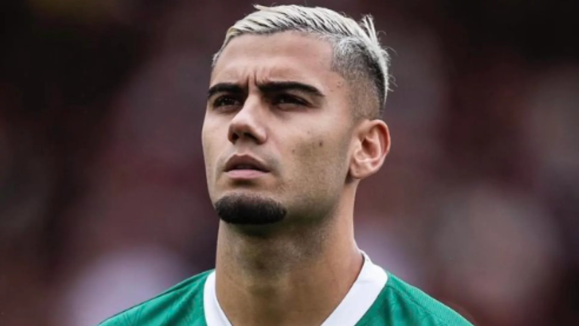 Andreas Pereira sofre lesão no ombro e desfalca o Palmeiras por até um mês. Entenda!