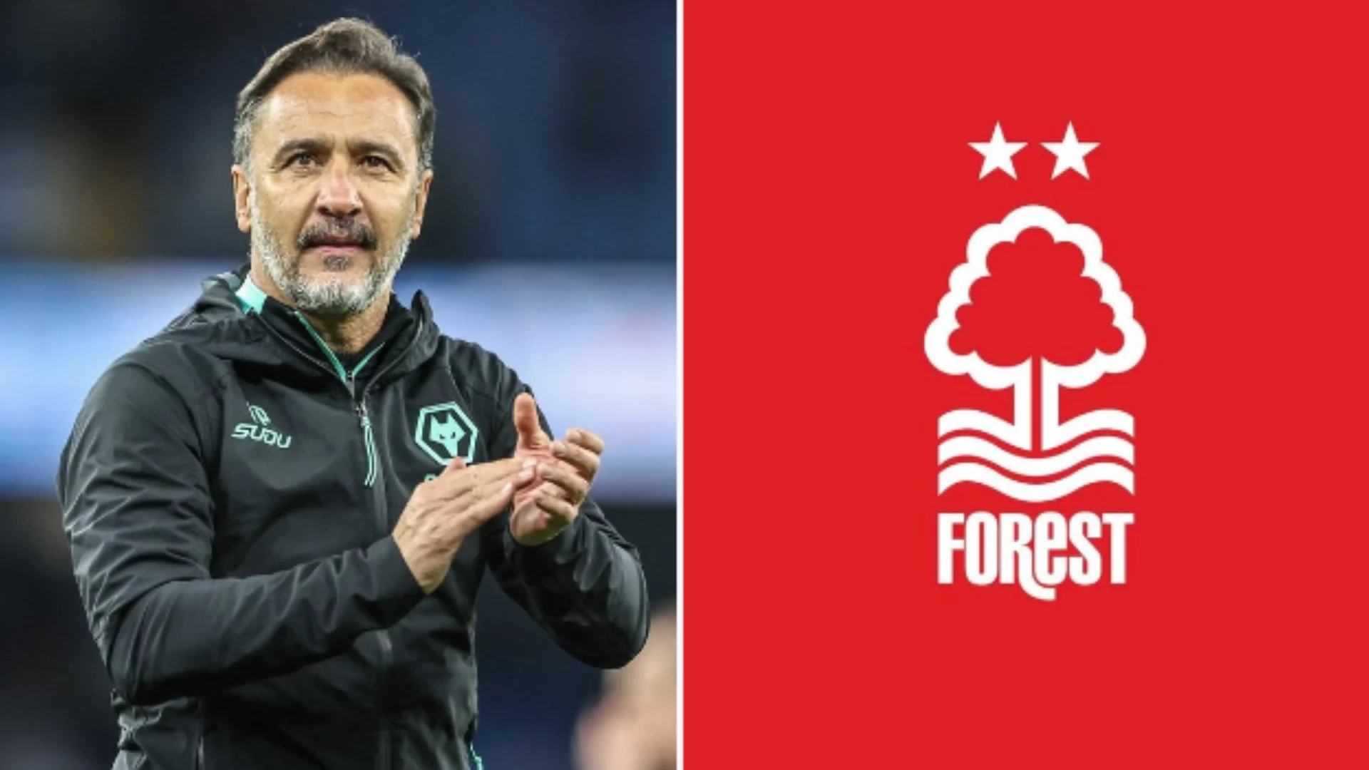 Vítor Pereira é o novo técnico do Nottingham Forest. Entenda!