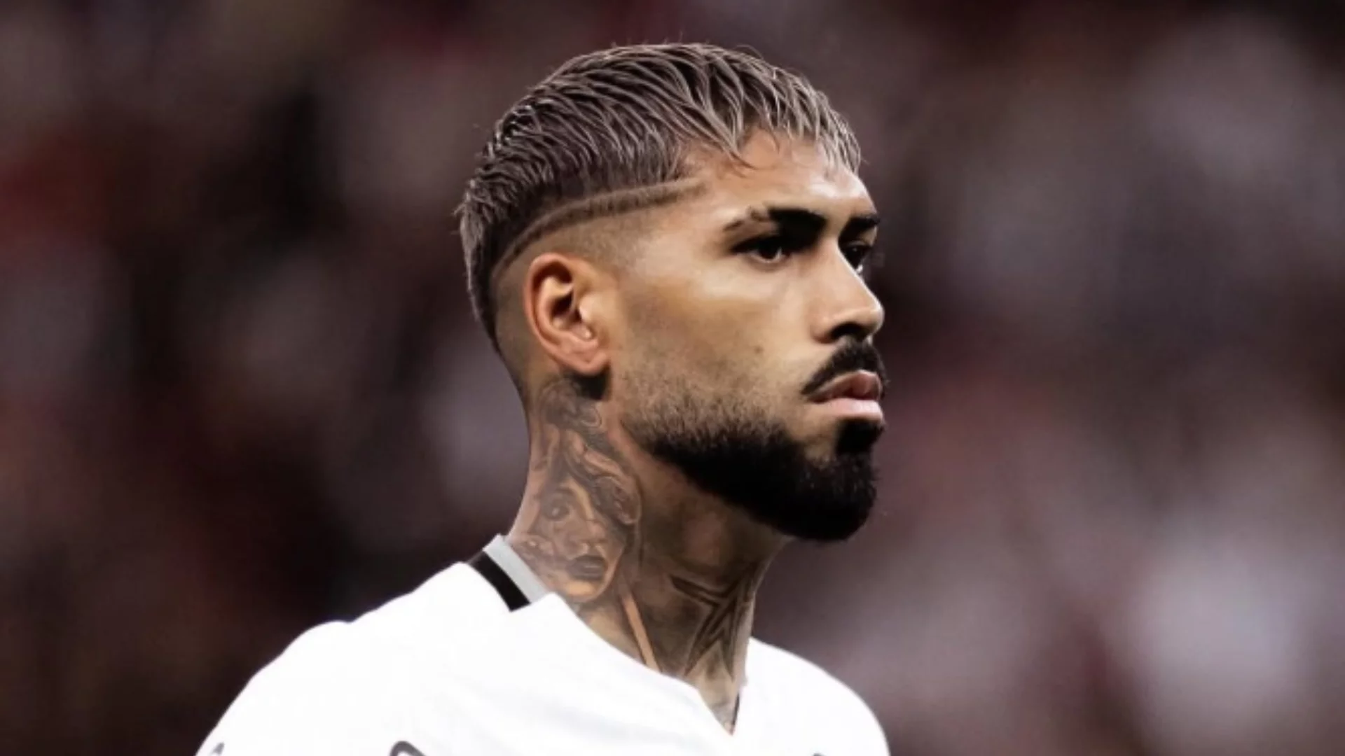 Botafogo abre jogo por venda de Barboza ao Palmeiras. Entenda!