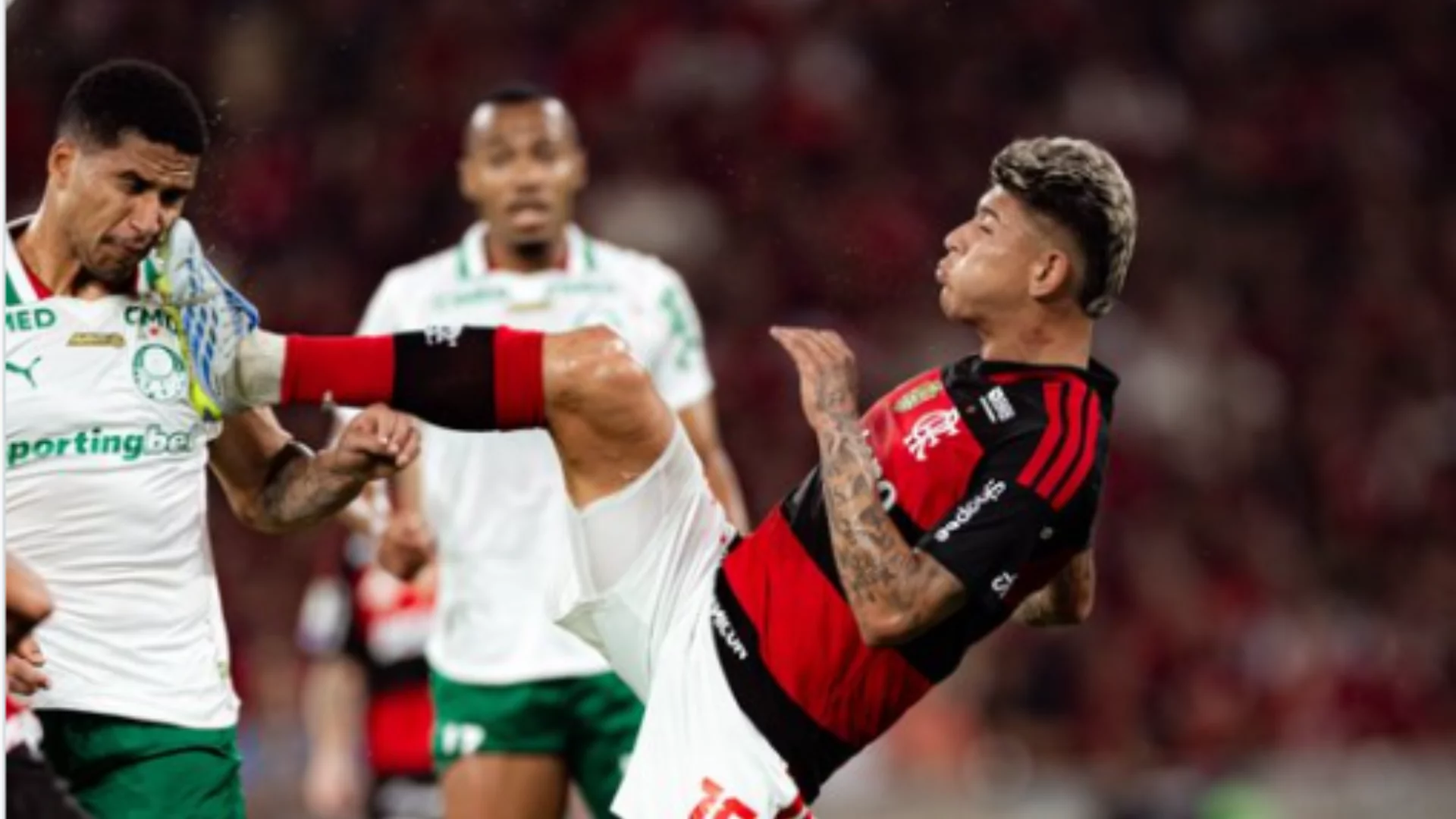 STJD pune Carrascal com três jogos após expulsão contra o Palmeiras. Entenda!